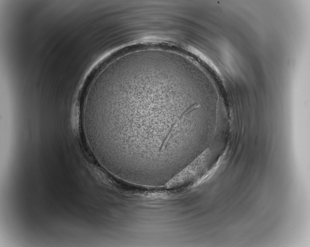 X0000098071021200804110918