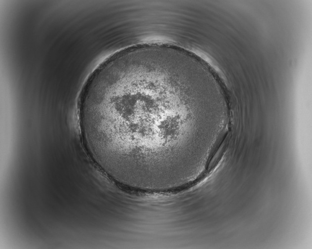 X0000098071022200804110918