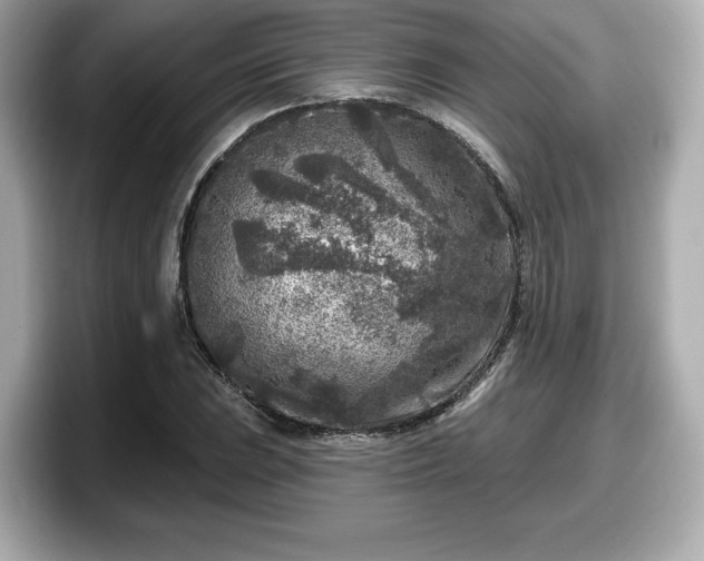 X0000098071023200804110918