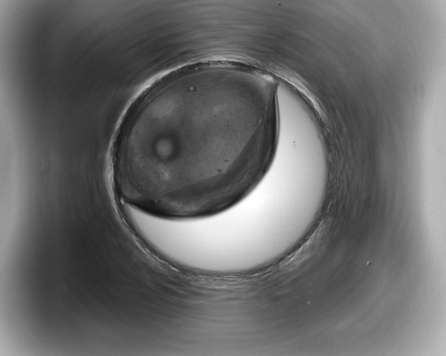 X0000098071024200804110918