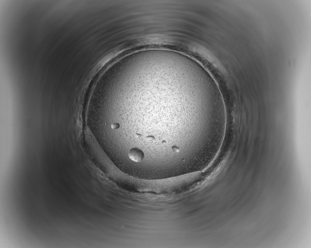 X0000098071025200804110918