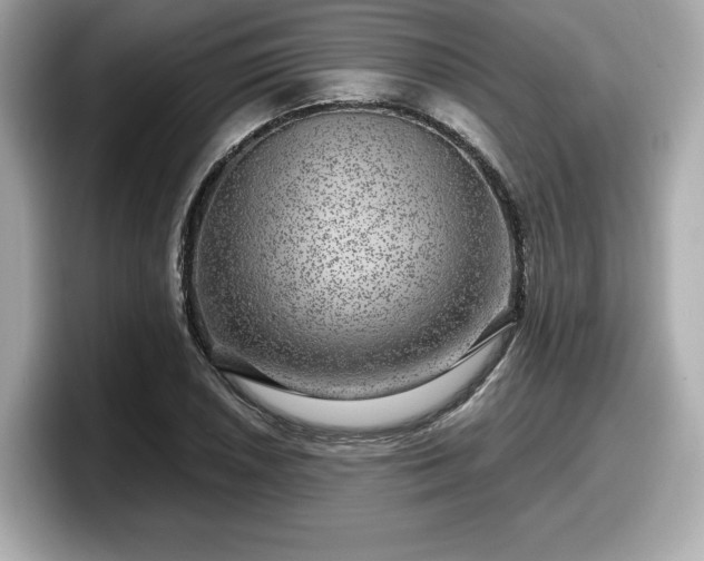 X0000098071026200804110918