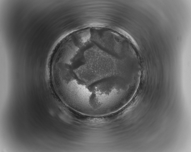 X0000098071027200804110918