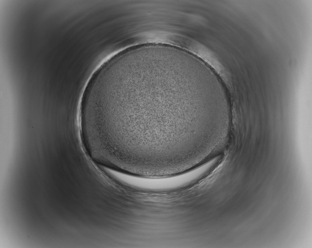 X0000098071028200804110918