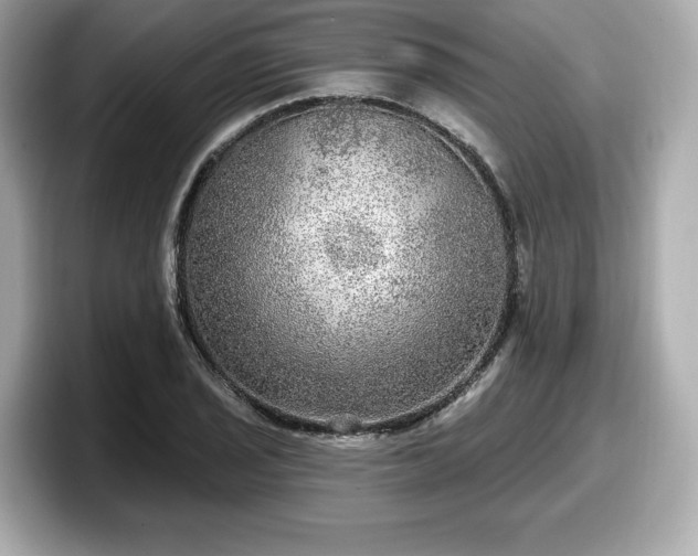 X0000098071029200804110918