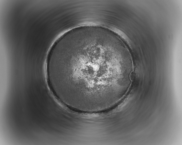 X0000098071030200804110918