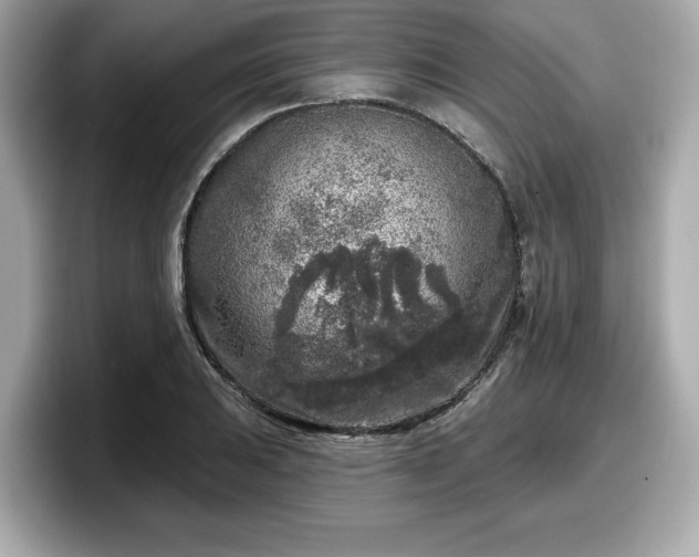 X0000098071031200804110918