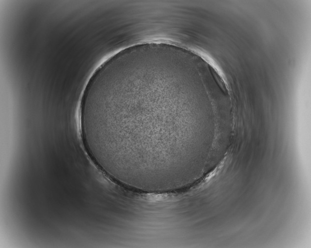 X0000098071032200804110918