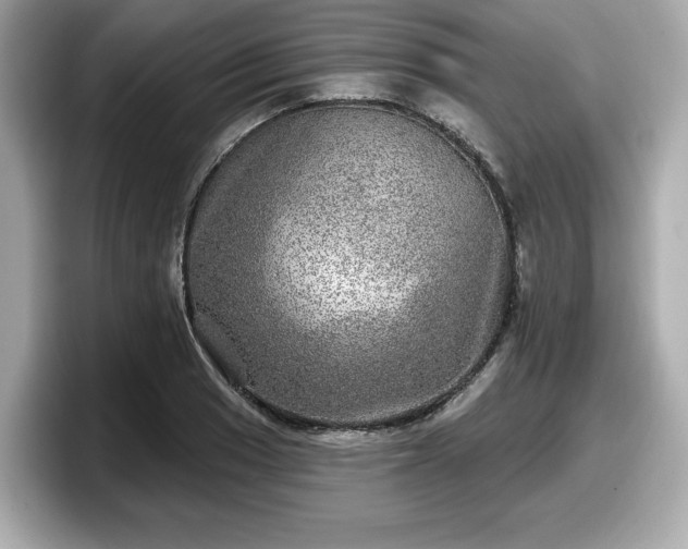 X0000098071033200804110918