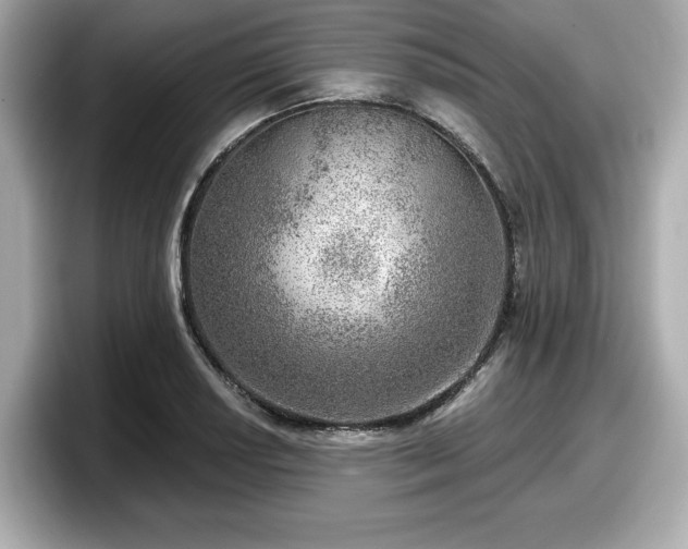 X0000098071034200804110918