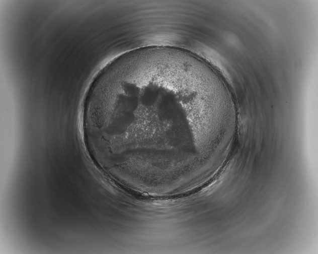 X0000098071035200804110918