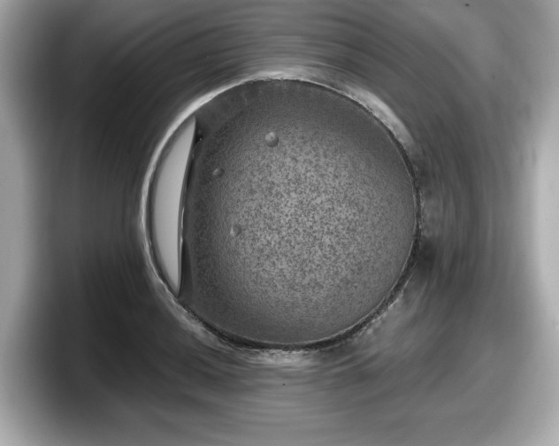 X0000098071036200804110918