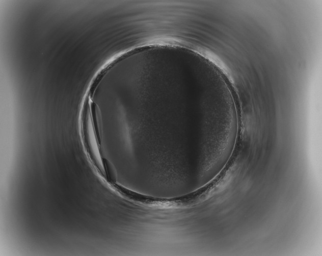 X0000098071037200804110918