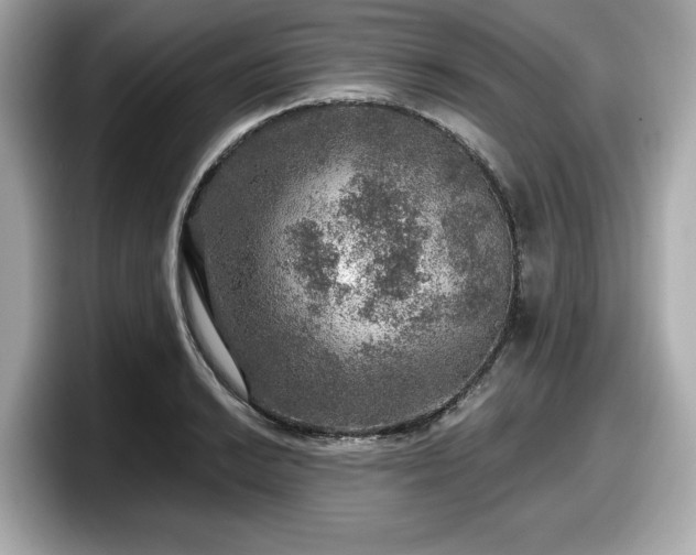 X0000098071038200804110918