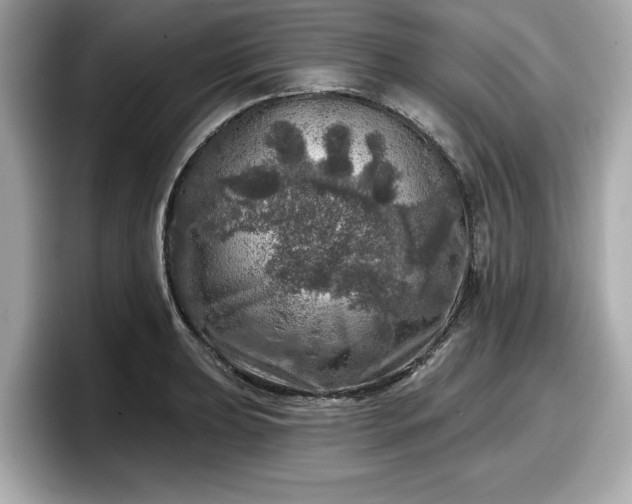 X0000098071039200804110918