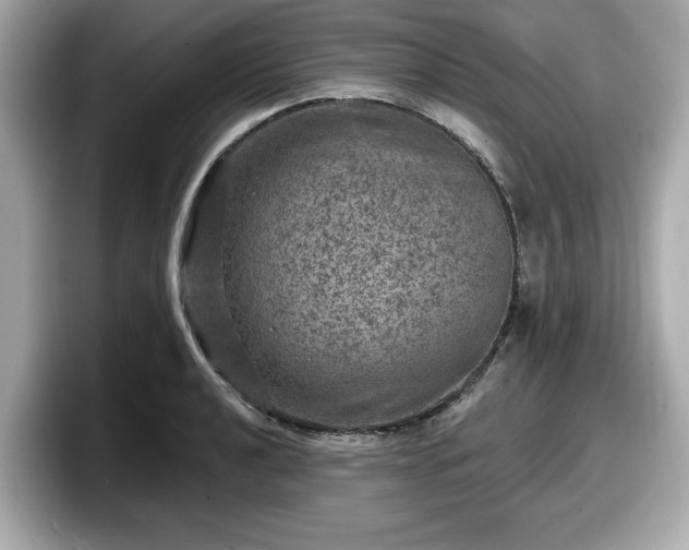 X0000098071040200804110918