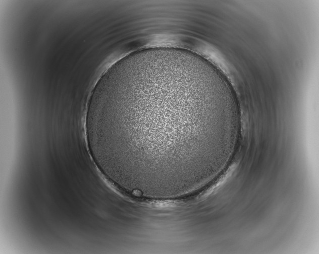 X0000098071041200804110918