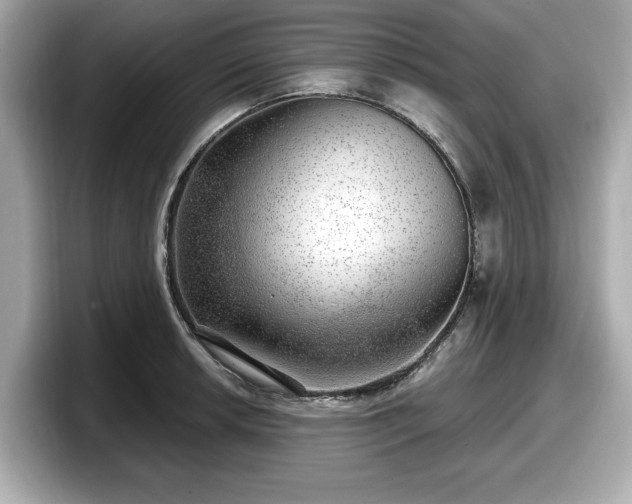 X0000098071042200804110918