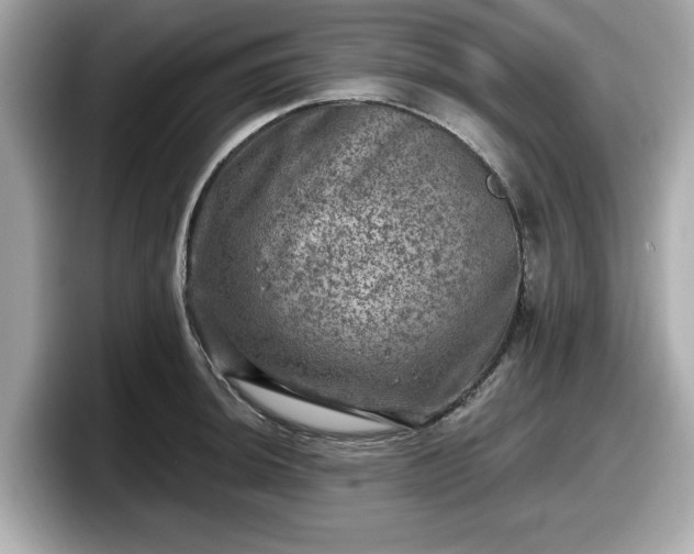 X0000098071044200804110918