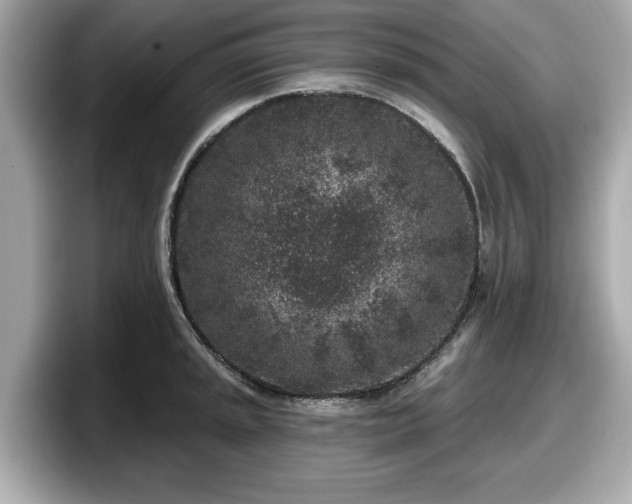 X0000098071045200804110918