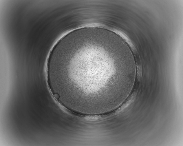 X0000098071046200804110918