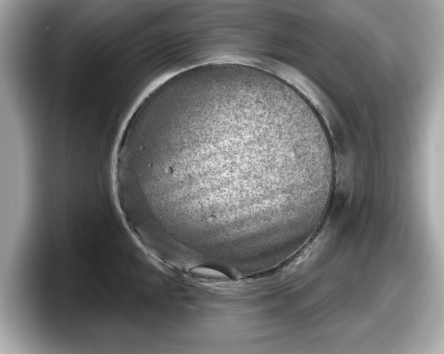 X0000098071048200804110918