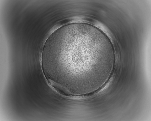 X0000098071049200804110918