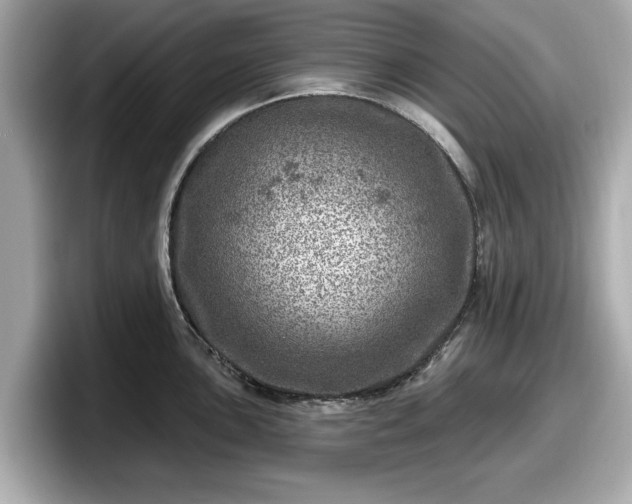 X0000098071051200804110918