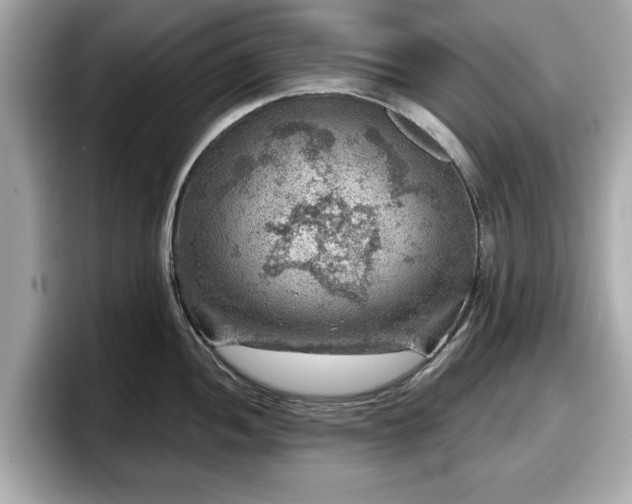 X0000098071052200804110918