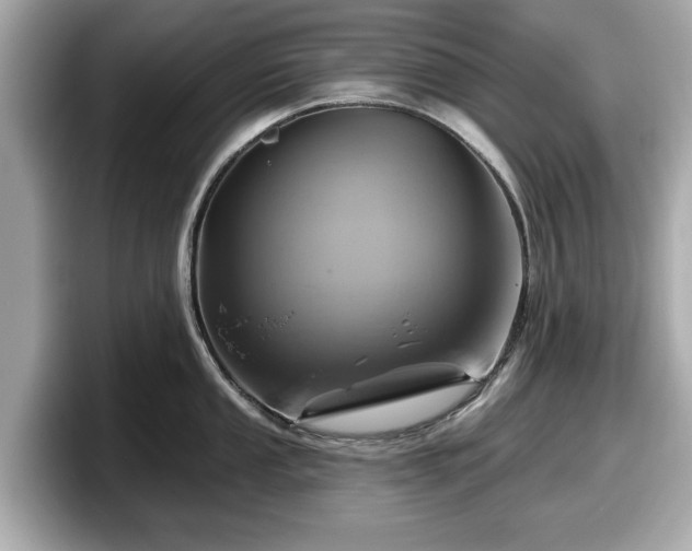 X0000098071053200804110918