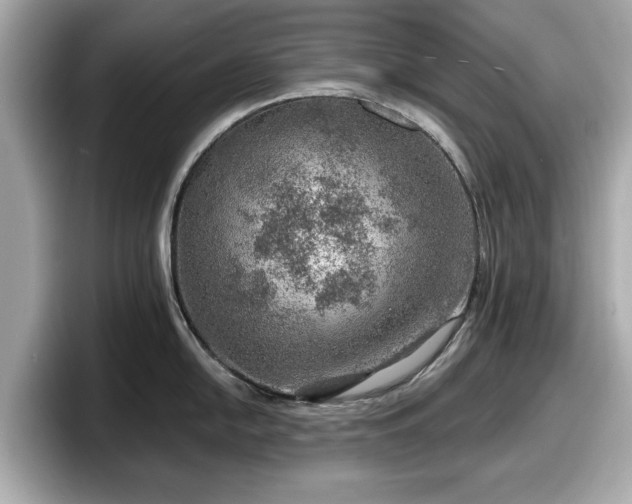 X0000098071054200804110918