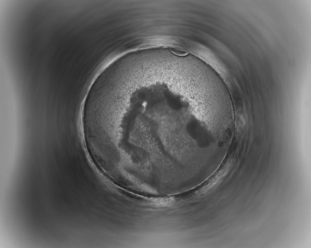 X0000098071055200804110918