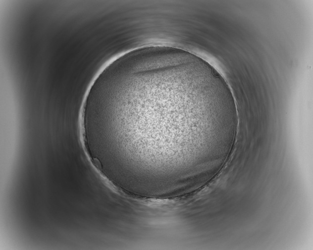 X0000098071056200804110918