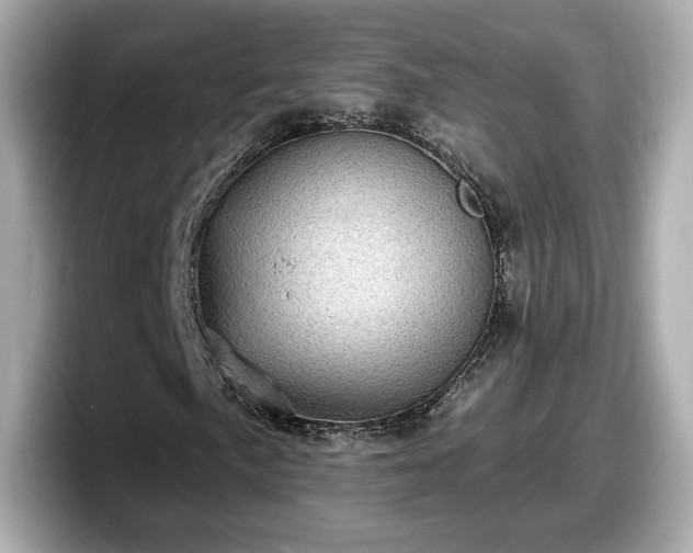 X0000098071057200804110918