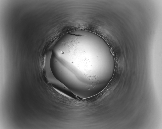 X0000098071058200804110918