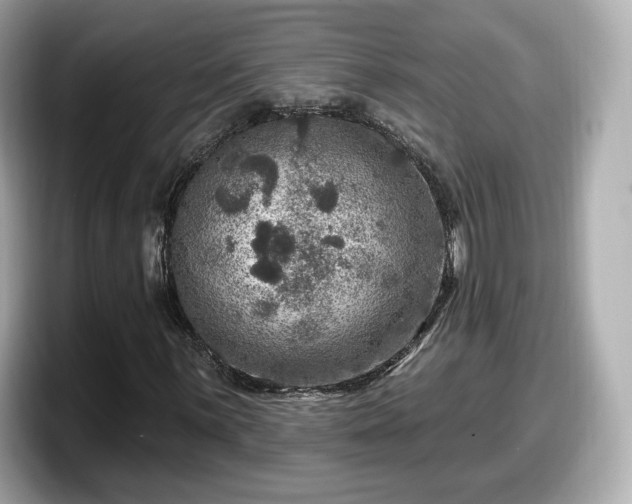 X0000098071059200804110918