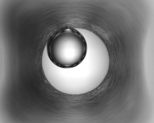 X0000098071060200804110918