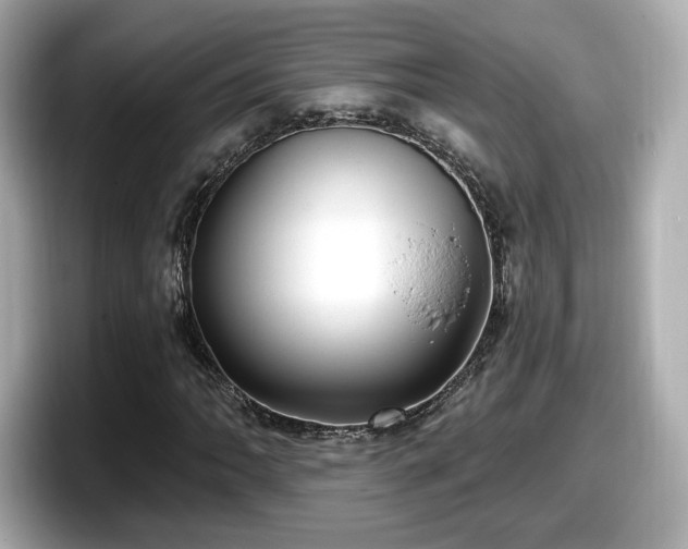 X0000098071062200804110918