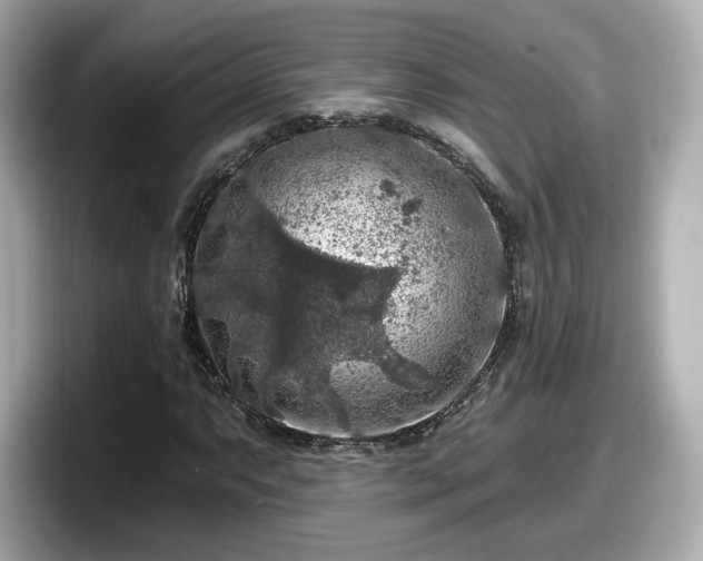 X0000098071063200804110918