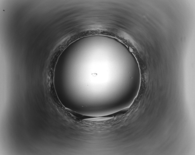 X0000098071064200804110918