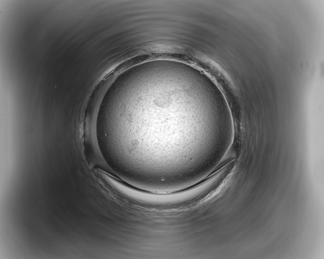 X0000098071065200804110918