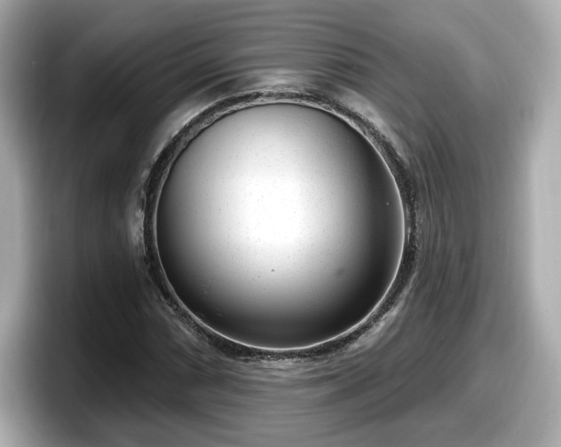 X0000098071066200804110918