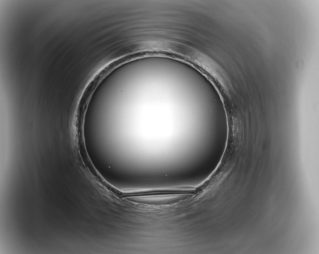 X0000098071068200804110918