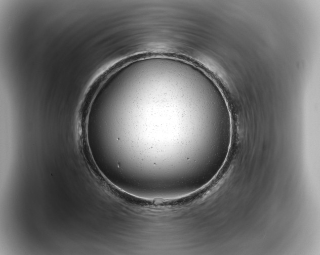 X0000098071070200804110918