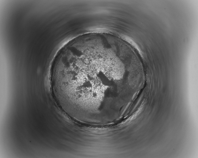 X0000098071071200804110918