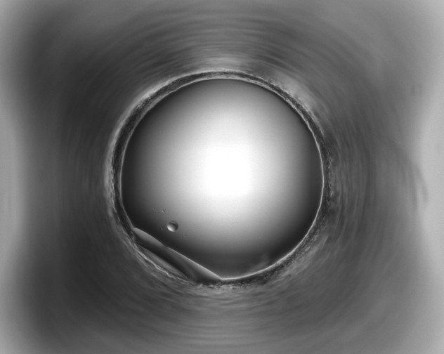 X0000098071072200804110918