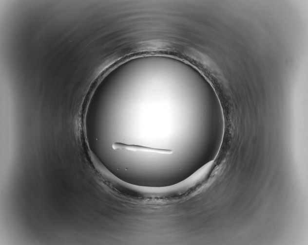 X0000098071073200804110918