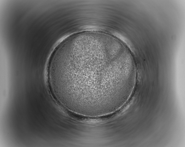 X0000098071074200804110918