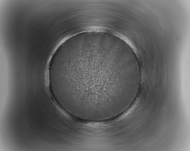 X0000098071075200804110918