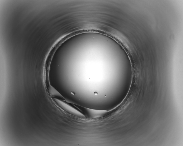 X0000098071076200804110918